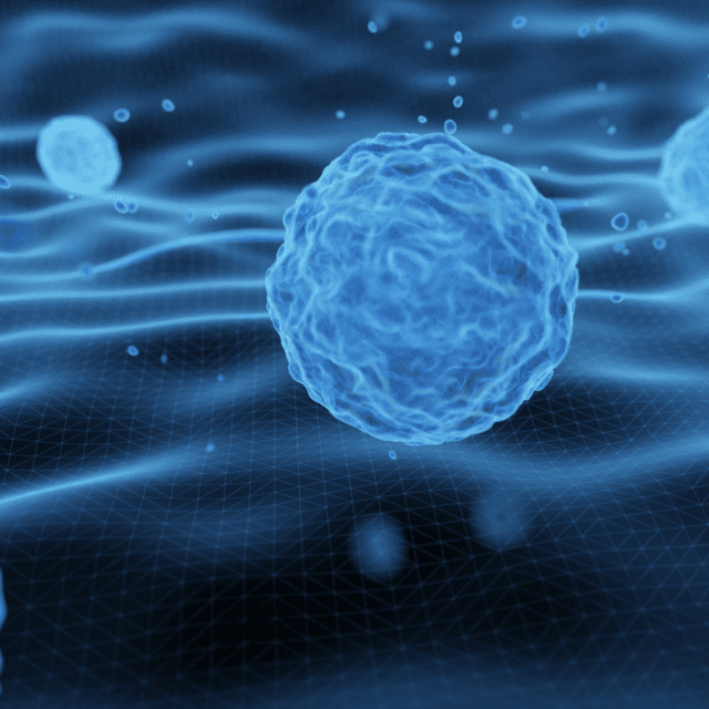 Are Exosomes the same as Polynucleotides?